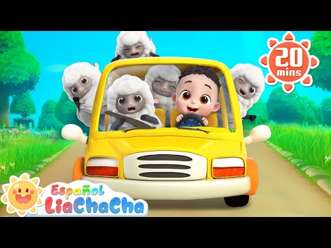 Cinco Ovejitas | Canción de la Granja | LiaChaCha en Español - Canciones Infantiles