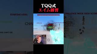 【驚愕】TQQ式エイム練習法　 #OW #オーバーウォッチ #ソジョーン