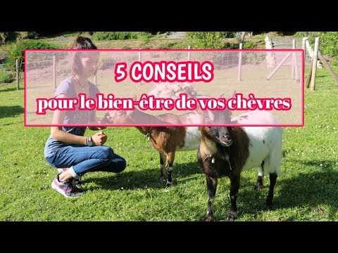 , title : '5 conseils pour le bien-être de vos chèvres'