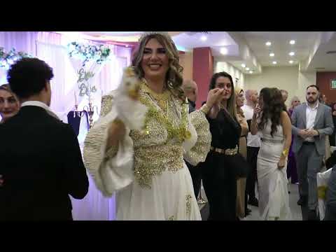 svadba Hot *kolo glavnih prijatelja*