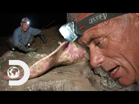 Jeremy Almost Falls Into The Water Trying To Catch A Gigantic Stingray | River Monsters