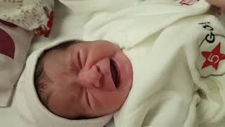 بكاء بيبي حديث الولادة ياسمينة baby yasmeena crying