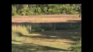 preview picture of video 'Pole Green Park Cross Country Course (Mechanicsville, VA)'