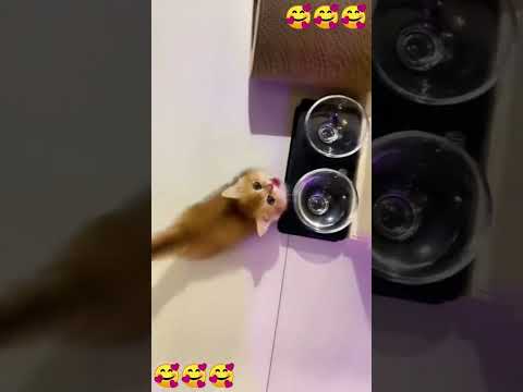 29 августа 2025 г.