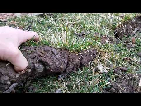 Why you need a French Drain System for a yard with no slope