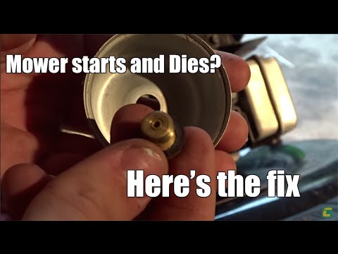 How to fix Briggs and Stratton lawn mower engine that starts and dies.