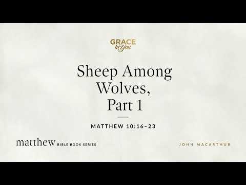 Sheep Among Wolves, Part 1 (Matthew 10:16–23) John MacArthur