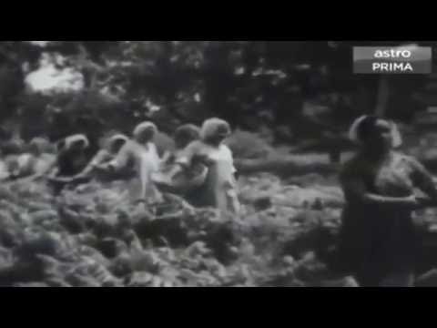 OST Musang Berjanggut 1959 - Mari Kita Ke Ladang
