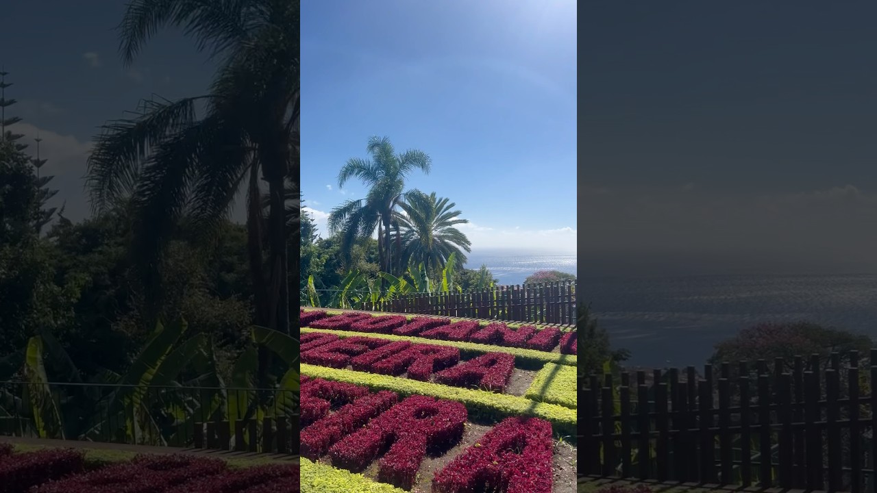 YouTube Short thumbnail