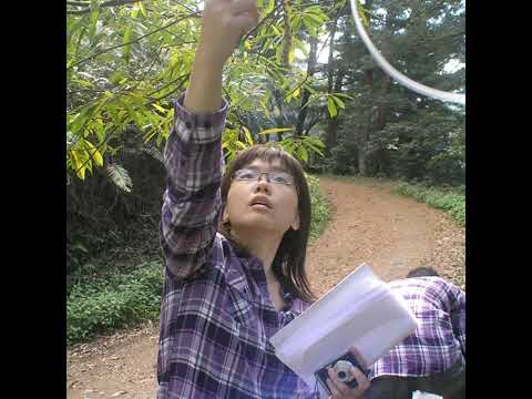  - 保護台灣大聯盟 - 政治文化新聞平台