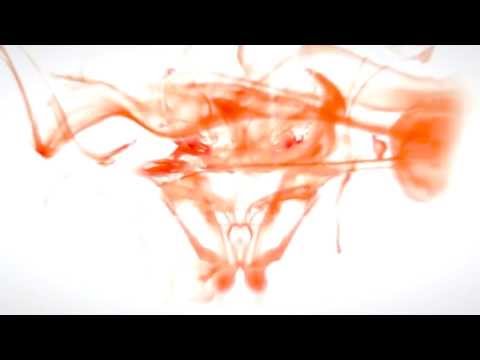 MARKUS TOEPFER & MONKEYBRAIN - SANDUHR (Gina Livia Vocal)