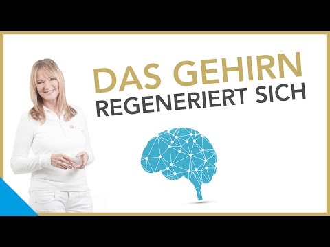 Das Gehirn kann sich regenerieren | Dr. Petra Bracht | Gesundheit, Wissen