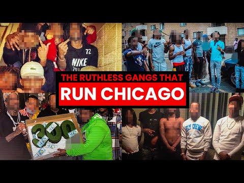 The Ruthless Gangs That Run Chicago