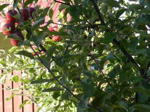 Casa deosebita in Europa strada privata