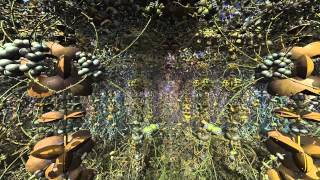 Geography of the Universe 1m sample