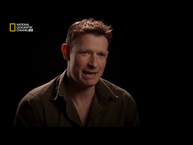 Vídeo relacionado con Marines en la II Guerra Mundial (Tropas de élite)