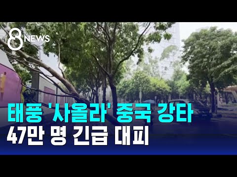 아이콘
