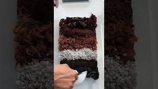 How to make Monstera Soil mix #cycleofplant #soil #soilmixture #monsteralovers #monstera