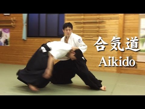 Aikido -  beautiful fluid motion