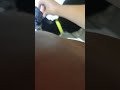 Tuxedo Cat Meowing Then Being Fed