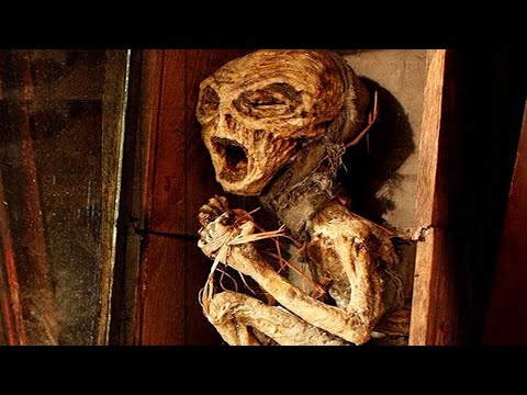 スウェーデンでの考古学的発見:珍しい指輪が研究者を驚かせる