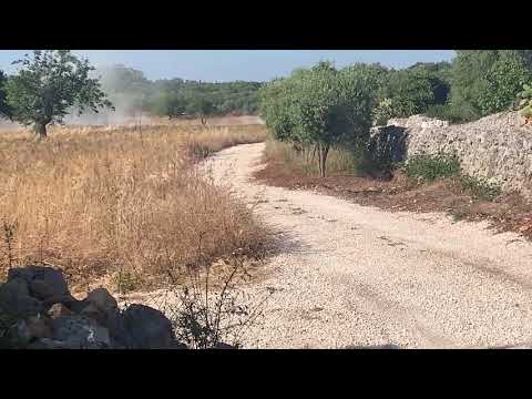 Alex Fiorio torna alla guida di una delta ufficiale, ex Auriol 16v