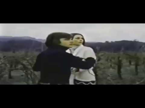 Abejas Asesinas List of Horror Villains Antiheroes