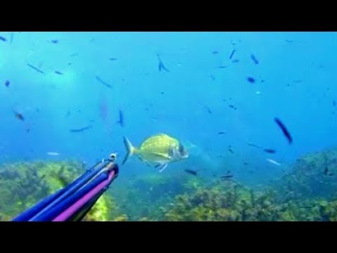 Rode il mal di schiena Il mal di schiena toracico dopo il parto