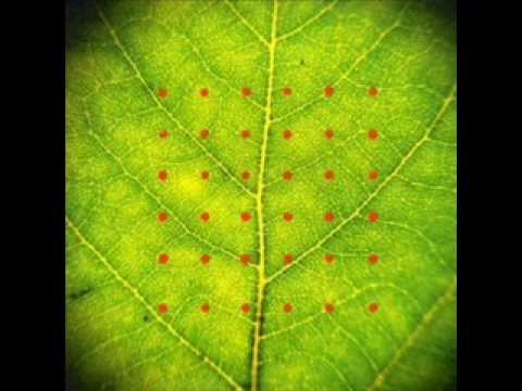 Hukwe Zawose/Michael Brook -- Mbeleje (Sweet Deceiver)