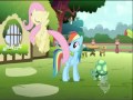 Find A Pet Song - My Little Pony: Friendship is ...