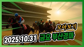 2025년 10월 31일 금요 부산경마 전체경주 모아보기