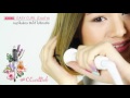 Create Ion Roll Brush Iron Ll