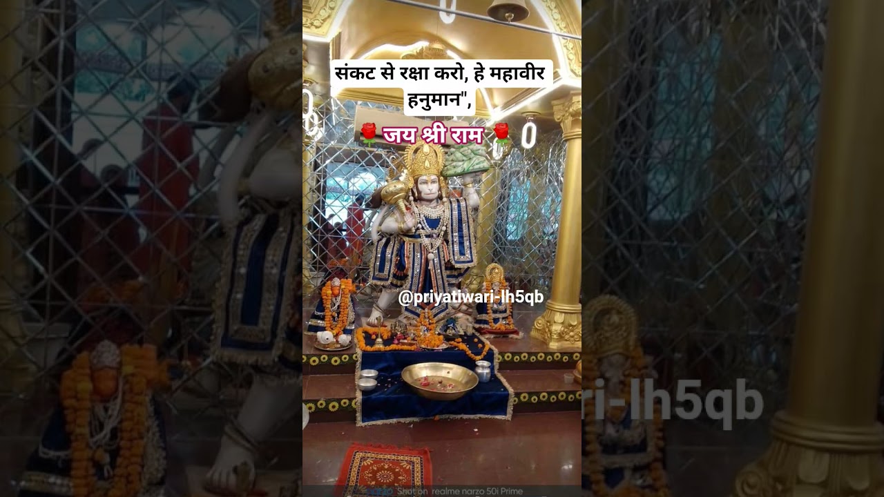 संकट से रक्षा करो, हे महावीर हनुमान