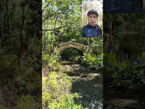 Puente histórico de la vereda Florencia, Totoró.