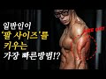 팔 사이즈' 순식간에 키워주는 삼두근 운동 루틴!