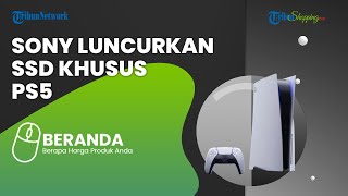 Gamers Wajib Tahu, Sony dan Western Digital Resmi Luncurkan SSD Khusus PS5, Ini Spesifikasinya