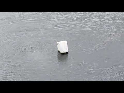 Black Shark 4 Pro video demo 4k 60 fps