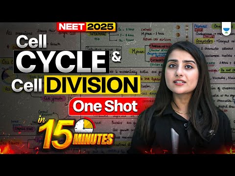 Cell Cycle and Cell Division One Shot  in 15 Minutes | Seep Pahuja | NEET 2025