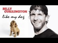 Billy Currington-Like My Dog