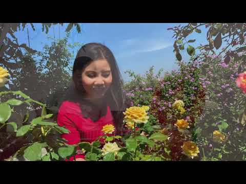 Vườn hồng tháng Ba - Lệ Hồng