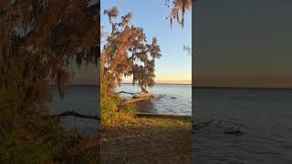 Enjoy the riverside and its beauty #enjoy#river#riverside#beautiful#beauty#tree