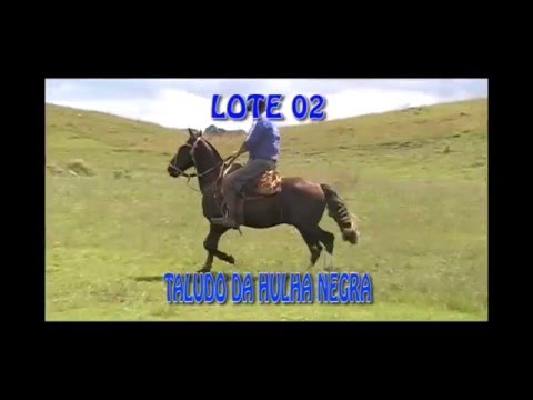 02 TALUDO DA HULHA NEGRA