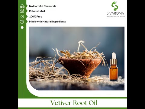 Vetiver Essential Oil
