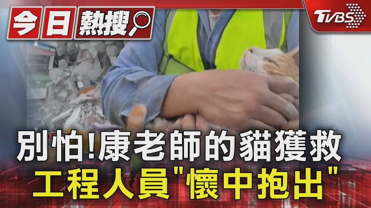 別怕!康老師的貓獲救 工程人員「懷中抱出」
