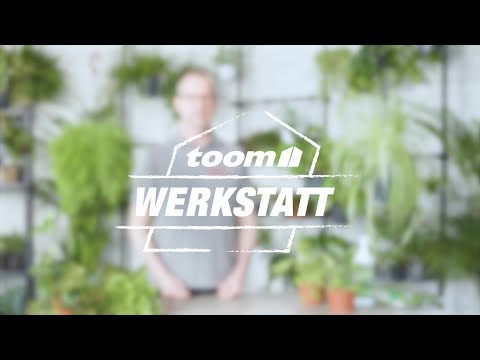 toom Pflanzentipps: Ranker und Hängepflanzen | toom Baumarkt