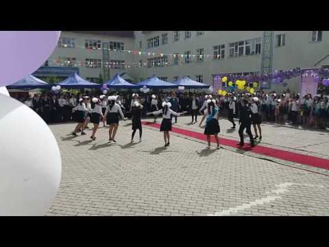 Выпуск 2016-2017 год