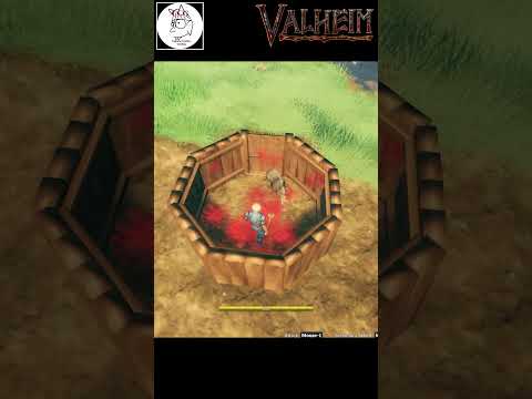 Valheim in 50 seconds - Boars and how to tame them #valheim #valheimgame #fypシ