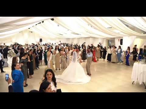 Zoki Banacan i Romano Cergar - Kolo za Igraci 2025 Kasablanka - David DRAJf 