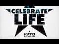 Celebrate Life - Stafford Brothers Remix by Kato