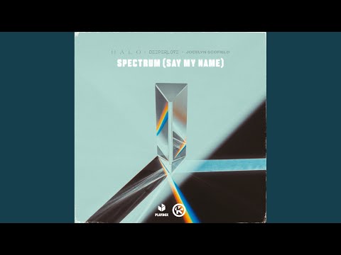 Spectrum (Say My Name)